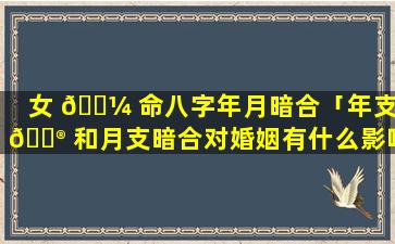 女 🐼 命八字年月暗合「年支 💮 和月支暗合对婚姻有什么影响」